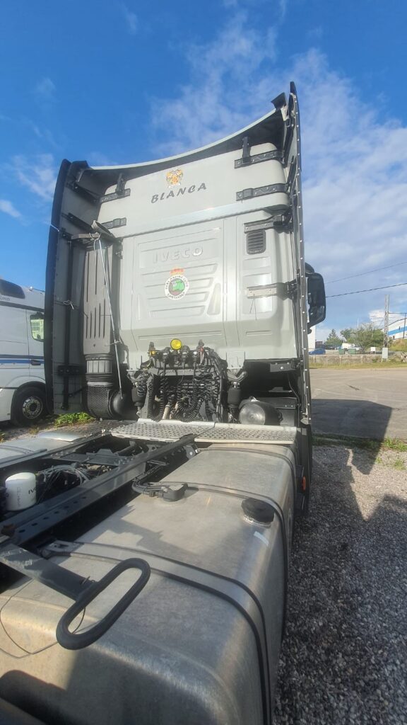 transvitin servicios